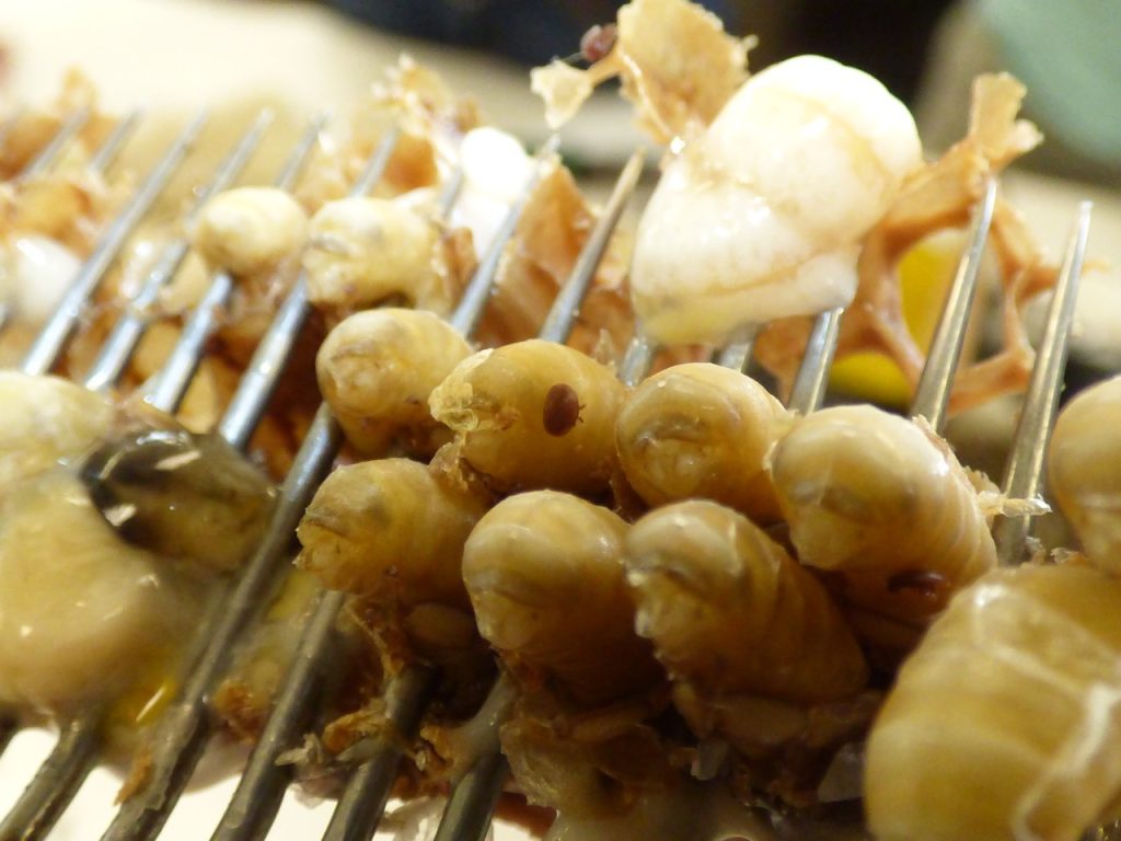 Varroa 5 bio techniques très efficaces pour le contrôler — free download